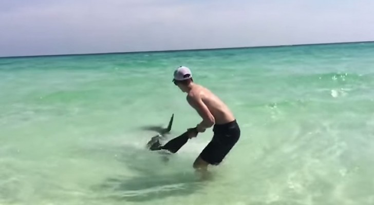 Un homme traîne un requin sur la rive, mais la raison mérite qu'on le remercie!