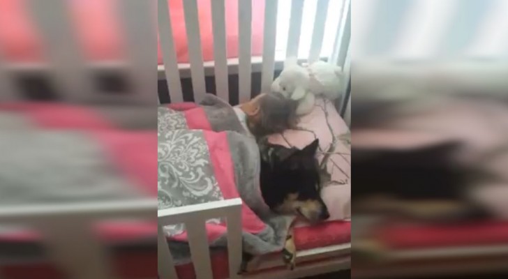 There's an unusual silence in the baby's room... When she goes to check, she's amazed
