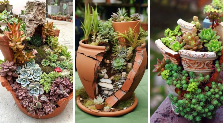 Conserva i vasi rotti per creare dei sensazionali giardini in miniatura con le piante grasse