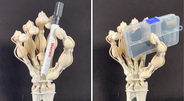 De eerste zachte robothand is 3D-geprint: hij heeft botten, pezen en ligamenten