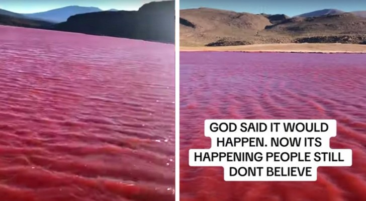 Het water van de Nijl is rood geverfd en op sociale media denken mensen aan een bijbelse gebeurtenis: maar het is fake news