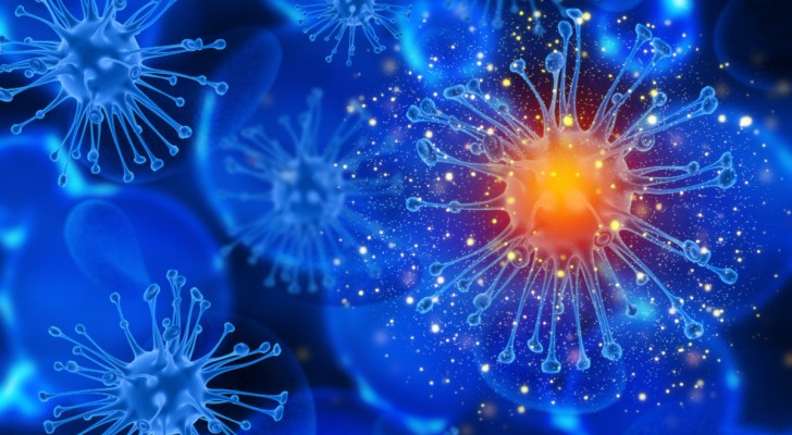 Wetenschappers ontdekken hoeveel ons immuunsysteem weegt: het resultaat is indrukwekkend