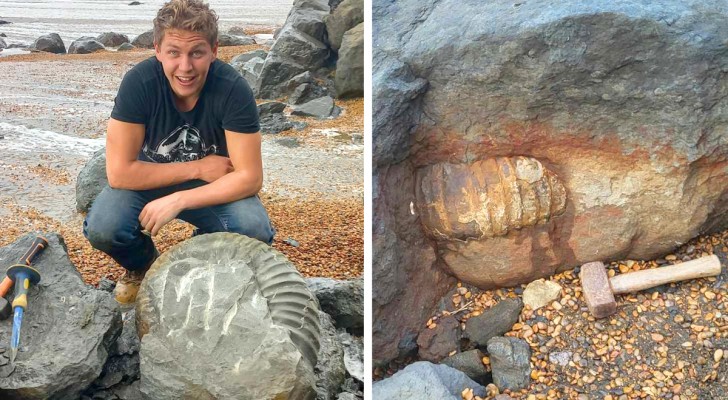 Un énorme fossile datant de 115 millions d'années trouvé sur une plage : il pèse plus de 100 kg
