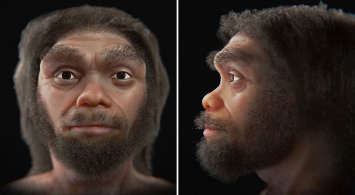 Le visage reconstitué de l'homme dragon, le plus proche parent de l'Homo Sapiens