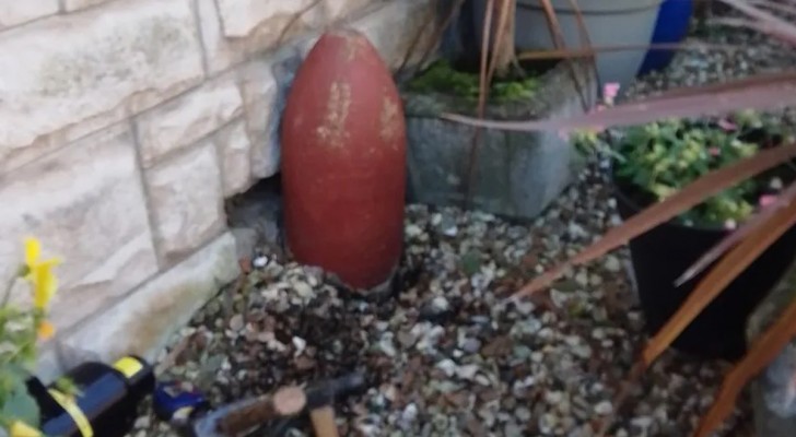 De tror att det är en trädgårdsdekoration men det är en odetonerad bomb från över 100 år sedan