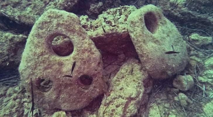 Två ankare av sten har hittats på havets botten utanför Sicilien: de är mer än 2000 år gamla