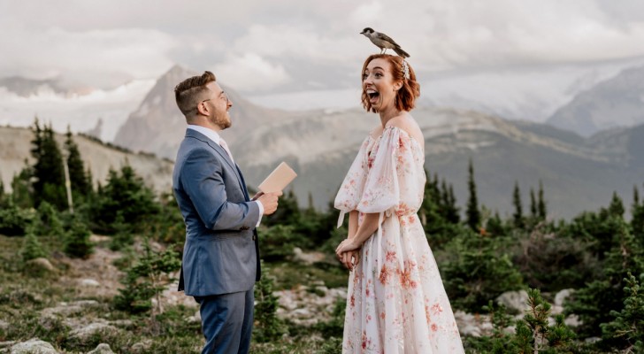 Questo scatto vince il premio come miglior fotografia di matrimoni grazie a un uccellino