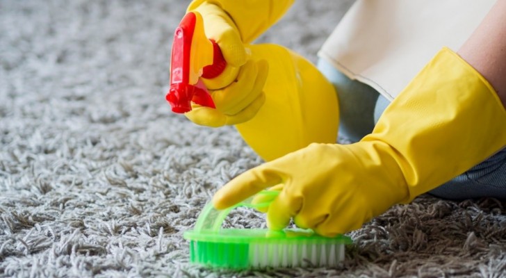 Taches sur le tapis : l’huile de coco pour nettoyer est-ce que ça fonctionne vraiment?