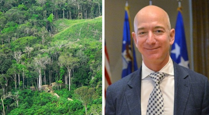 Jeff Bezos moet de rechten betalen om de naam “Amazon” te gebruiken: er is een geschil met de Braziliaanse gouverneur