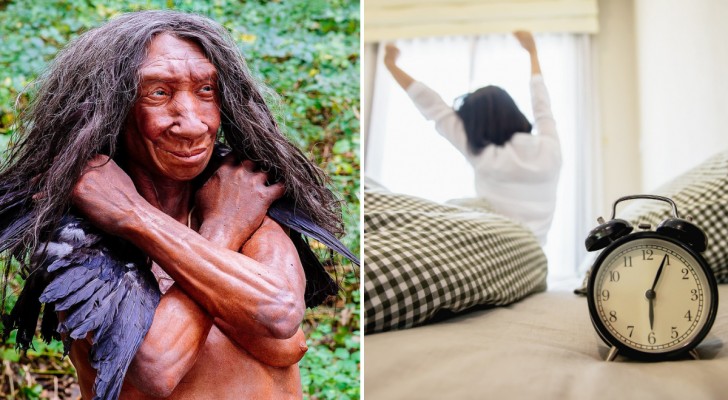 Menschen, die morgens gerne früh aufstehen, haben einer Studie zufolge Gene, die von Neandertalern geerbt wurden