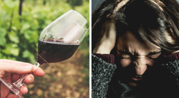 Non è il grado alcolico a causare il mal di testa dopo aver bevuto un bicchiere di vino rosso