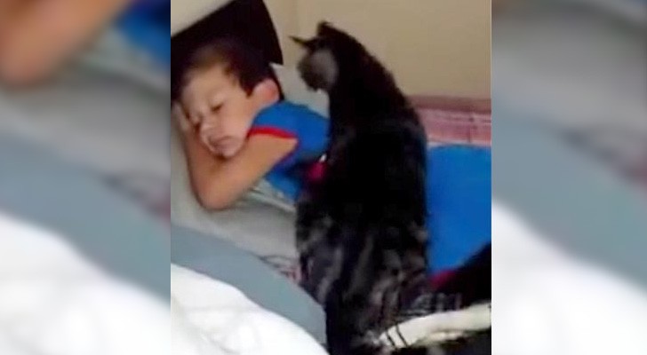 This boy comes back home from summer camp ... even mom is surprised by the reaction of the cat !