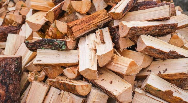 Brandhout: leer hoe je het snel kan laten drogen zodat het beter brandt