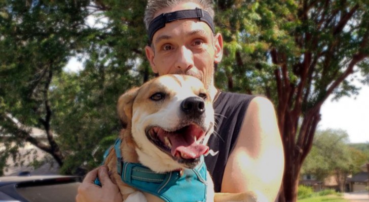 Quest’uomo ha visitato il rifugio per cani ogni giorno per due mesi: poi la sua pazienza è stata premiata