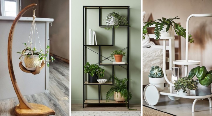 Avec les bons supports et les bons meubles, avoir des plantes à la maison permet de meubler et de décorer avec style 