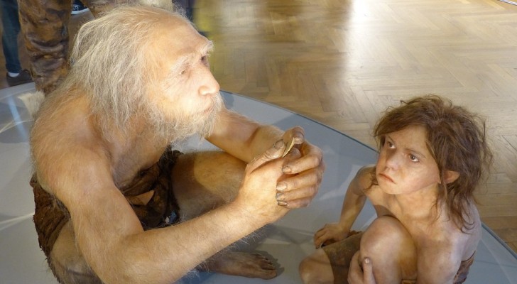Var verkligen neandertalarna en annan och underlägsen art mot Homo Sapiens? Vetenskapens nya åsikt