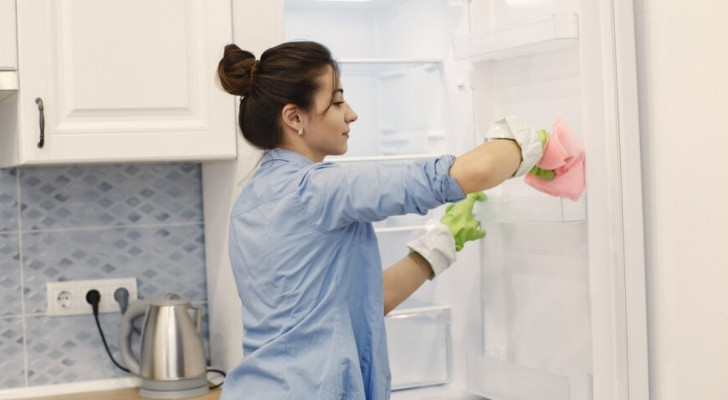 Puoi usare un solo prodotto per pulire microonde, frigorifero e lavandino