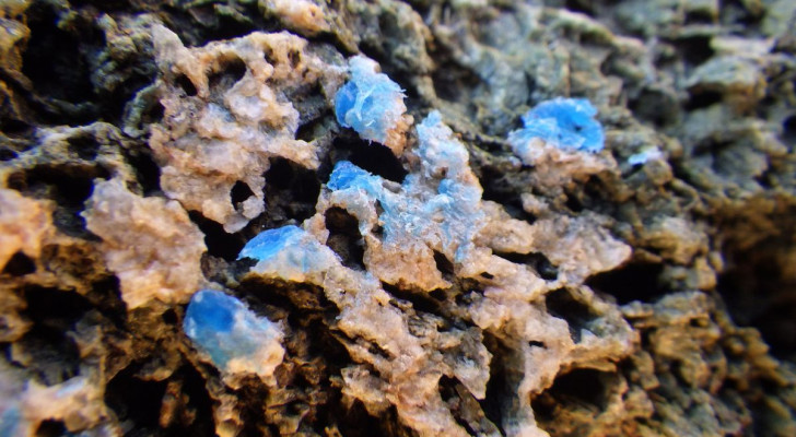 Des chercheurs ont découvert un nouveau phénomène de la pollution : les "rochers en plastique"