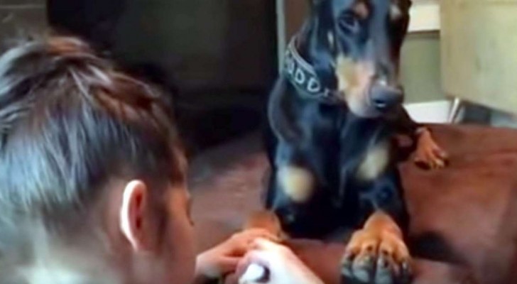 What this girl is doing with the Doberman is so UNEXPECTED yet ADORABLE