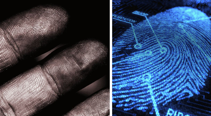 Secondo l'AI, le impronte digitali delle dita di una mano non sono tutte diverse tra loro: rovesciata una credenza forense
