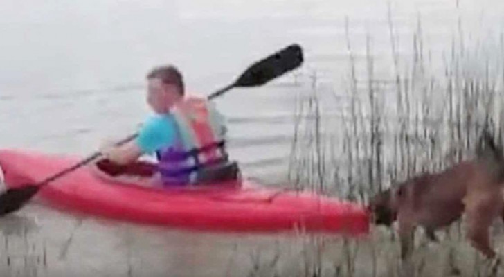 Quisiera salir en kayak pero su perro no esta de acuerdo: lo que hace es muy gracioso!