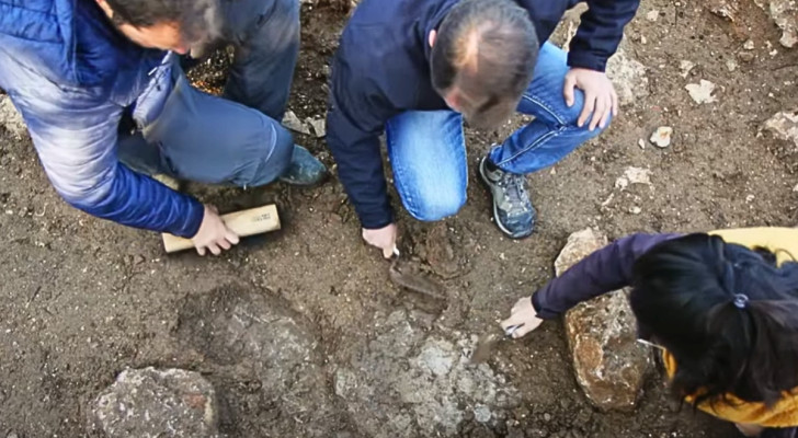 Außergewöhnlich seltenes Münzfragment entdeckt: Es ist über zweitausend Jahre alt