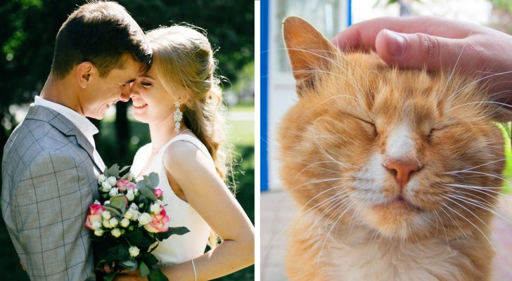 Det här brudparet adopterar en katt som dyker upp på deras bröllop: "Den passar oss perfekt"