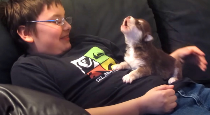 Padroncino insegna a ululare al suo tenerissimo cucciolo di Husky (+ VIDEO)