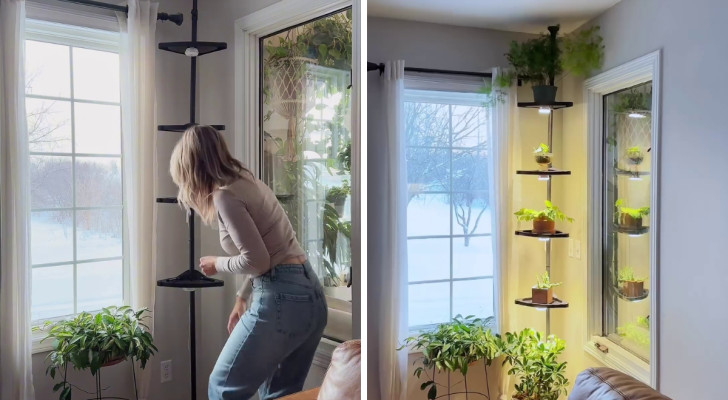 Giardino verticale in un angolo di casa: l'idea per decorare (e illuminare!) spendendo pochissimo