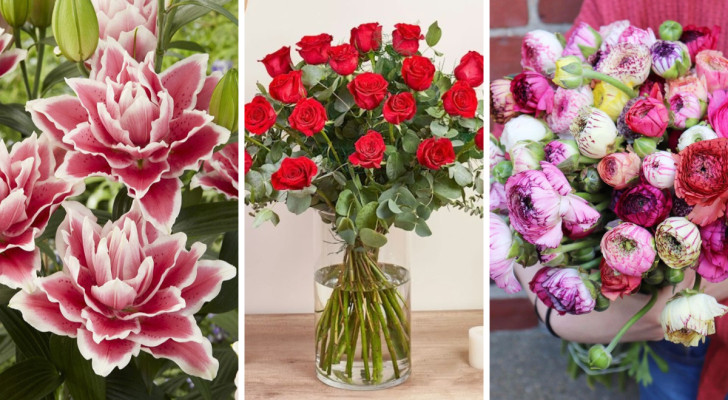Fiori per San Valentino: 9 romantiche varietà da regalare alla persona che ami