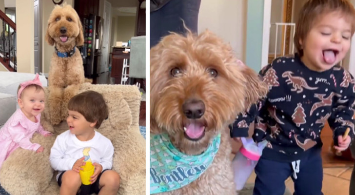 Una mamma condivide un video in cui mostra i chiari segnali per cui i suoi figli sono cresciuti insieme ad un cane