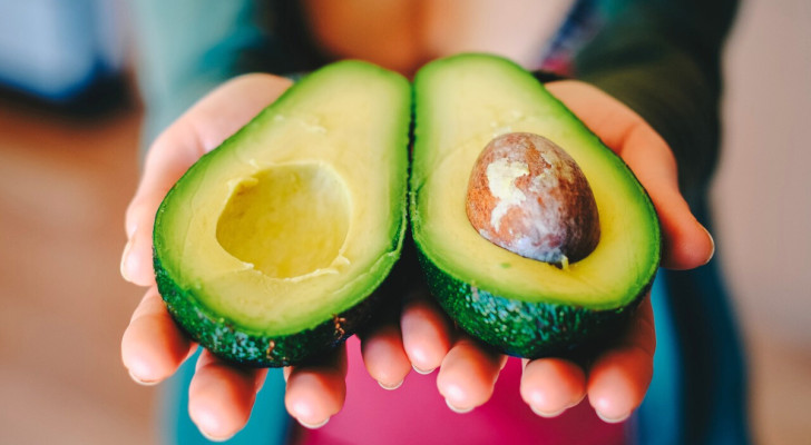 Il motivo per cui i semi dell'avocado hanno dimensioni enormi rispetto a quelle di altri frutti