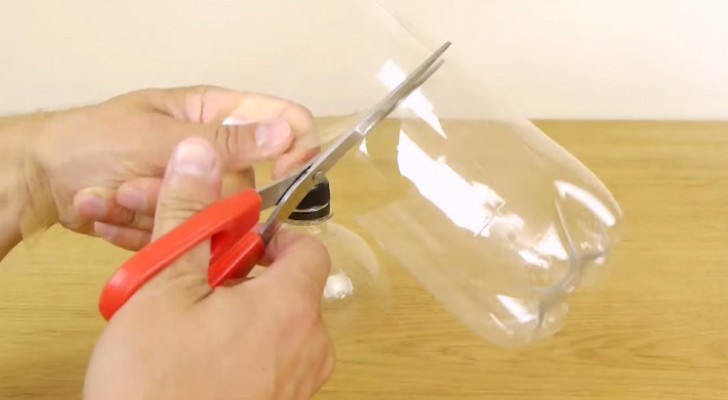 Find out how to create a wasp trap in 1 minute: it's easy and it works!