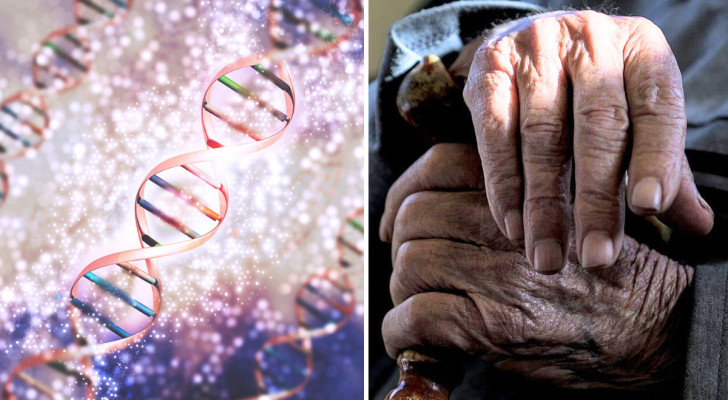Eine neue Studie enthüllt einen Prozess beim Altern des Menschen, den wir bisher nicht kannten