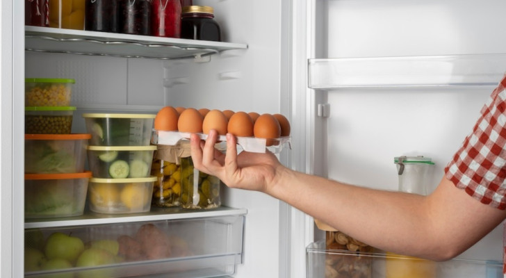 Feng Shui for the fridge? Yes, to reduce food waste