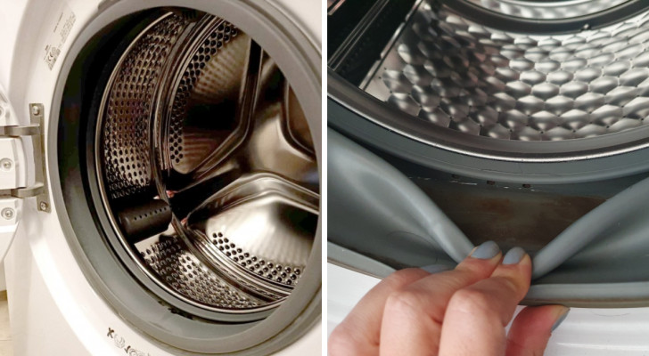 When last did you check the rubber seal on your washing machine's door? Unpleasant odors often emanate from here