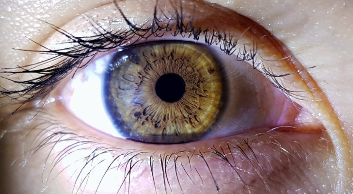 Alleen al door naar de pupillen te kijken kun je ontdekken hoe intelligent iemand is, volgens een onderzoek