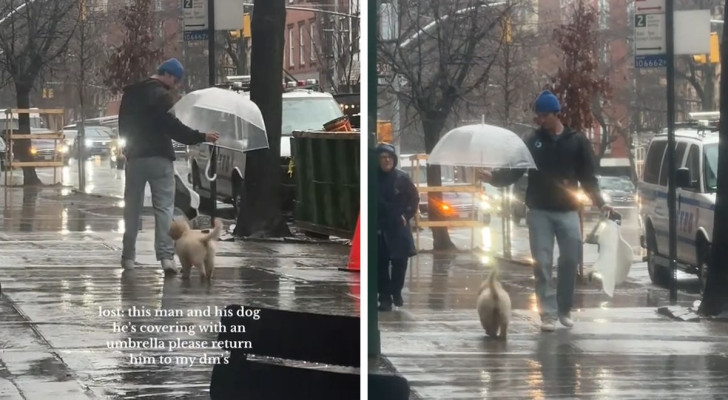 Uomo decide di proteggere il cane dalla pioggia con l’unico ombrello che ha: il video diventa virale