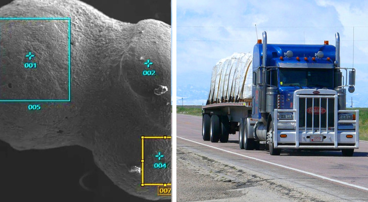 On aurait dit un signal extraterrestre, puis les scientifiques ont réalisé qu'il s'agissait d'un camion très lourd