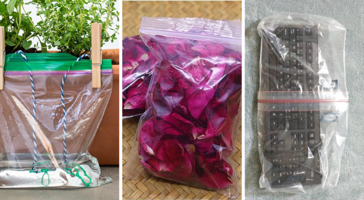 How many things you can do with zip-lock plastic bags? Here's 11 great alternative uses to try out