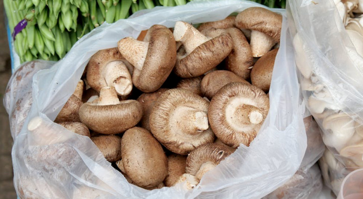 Prevent mold growing on your mushrooms: here's how to store them correctly