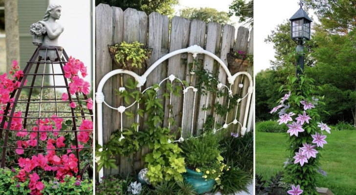 Do you want some trellises in your garden? Check out these 15 great examples