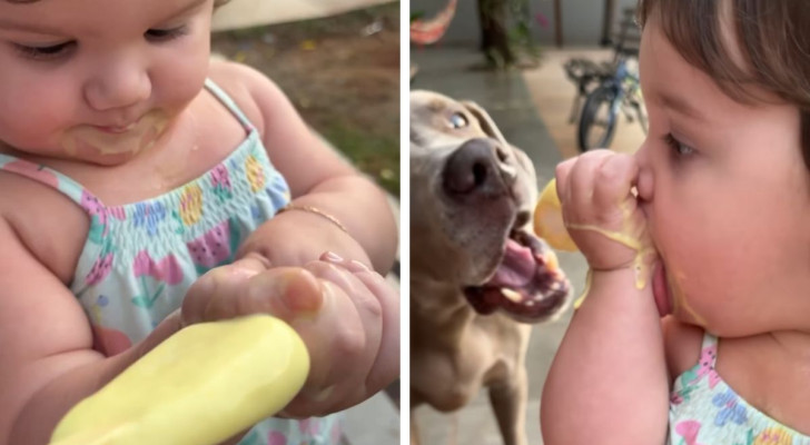 La bambina mangia il gelato ma il suo cane è pronto a rubarglielo senza che lei nemmeno (quasi) se ne accorga