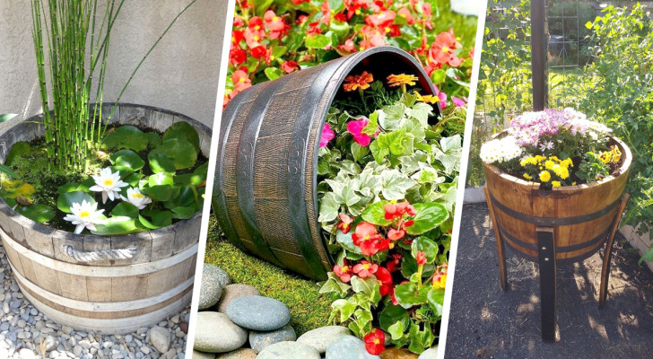 Réaliser des jardinières avec des tonneaux de vin : 11 idées pour apporter une touche vintage à votre coin vert