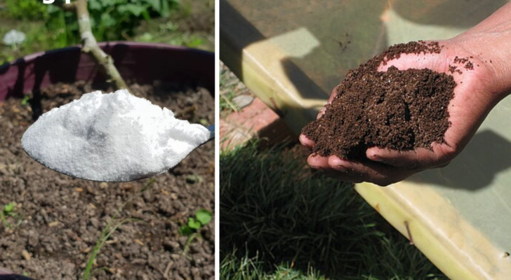 Adding baking soda to compost: beneficial or a potential danger?