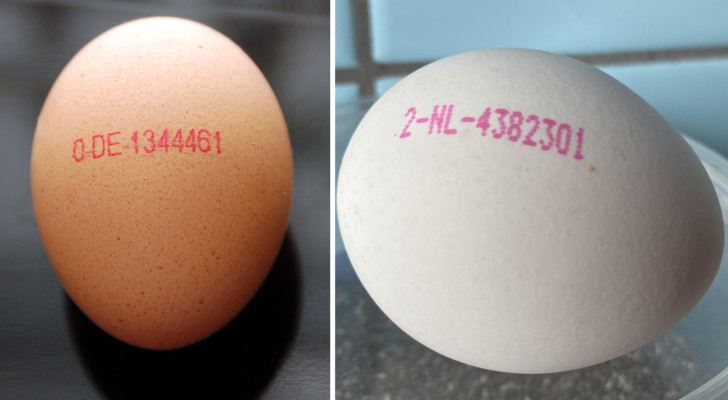 Er zit een code op de eierschaal die maar weinig mensen weten te ontcijferen: dit is wat het betekent en wat het ons onthult