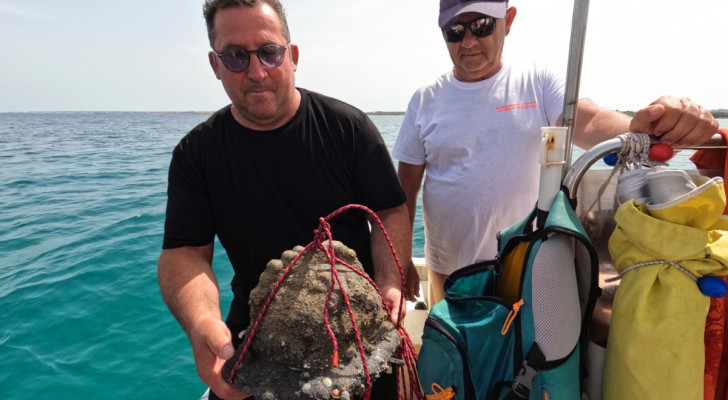 En "märklig" sten hittad i Siciliens hav: nu avslöjar arkeologer vad det är för något