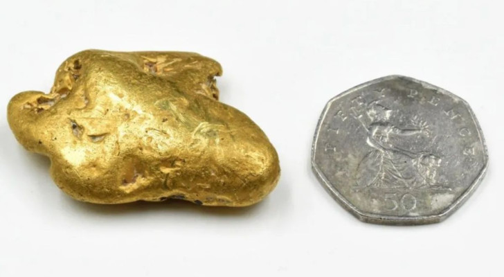 Metalldetektorn fungerade inte som den skulle men han hittade en guldklimp värd nästan 40 tusen dollar