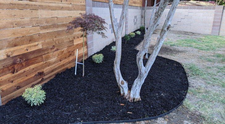Charcoal: a valuable and unexpected mulching resource for gardens and veggie patches