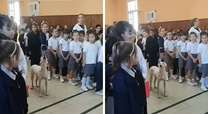 Il cane si unisce al coro degli studenti e intona l'inno nazionale: tutti gli occhi sono puntati su di lui